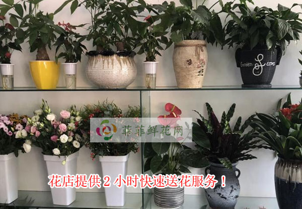 天津武清区花店提供天津武清区2小时快速送花服务